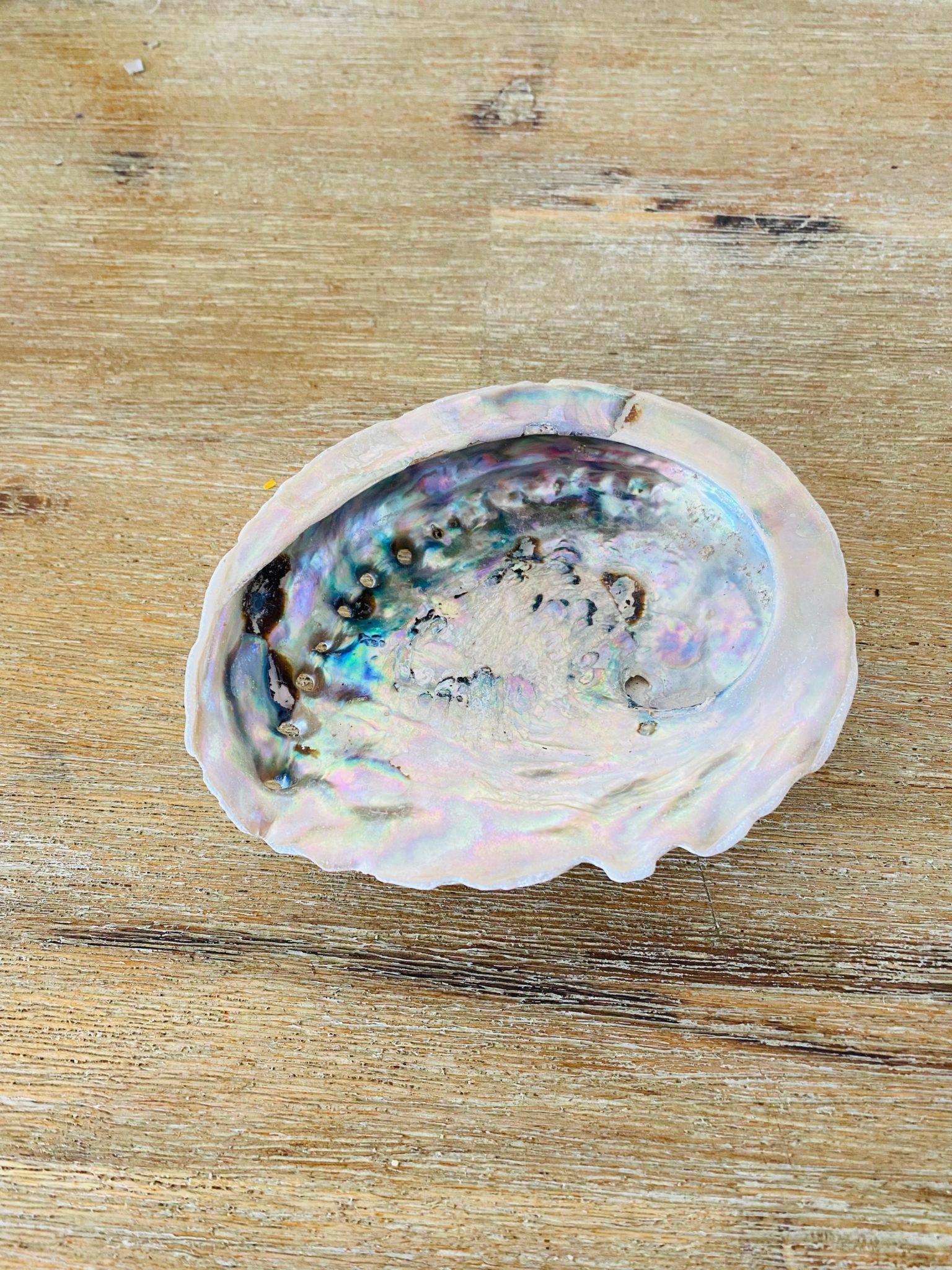 Coquille d'ormeau Kit purification Sauge Blanche