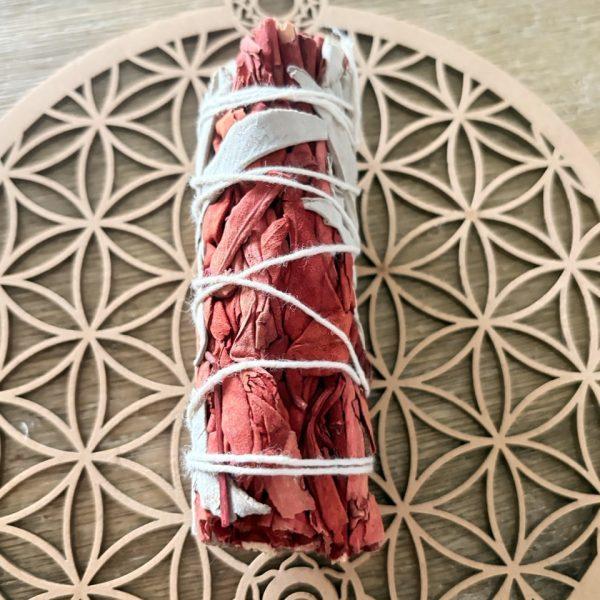 Bâton de Sauge Blanche – Sang du Dragon 10cm