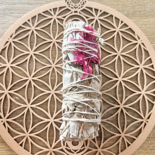 Bâton de Sauge Blanche – Dahlia 10cm