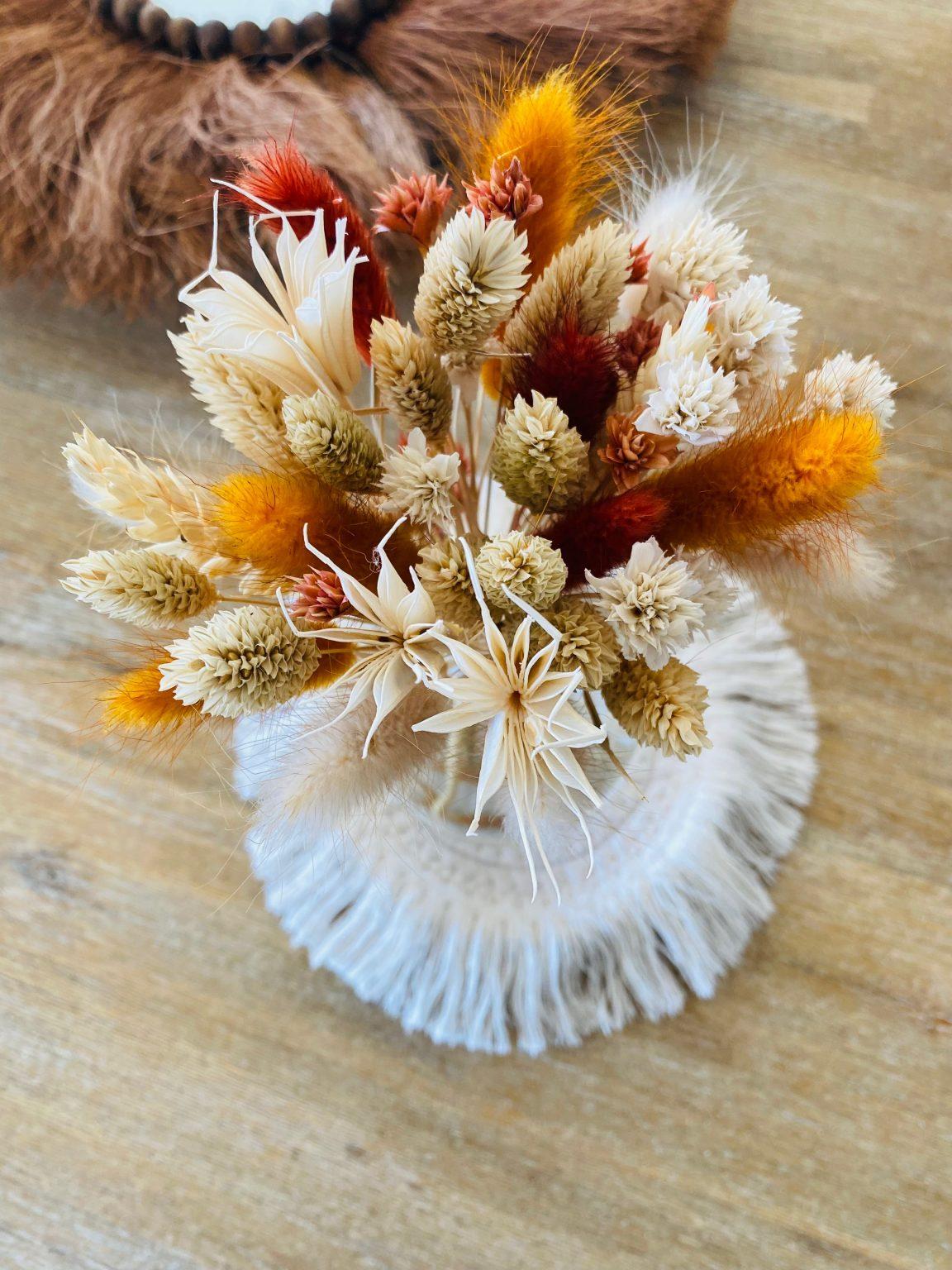 Herbier encadré de feuilles séchées · n°06 · L'Érable Japonais · Folium